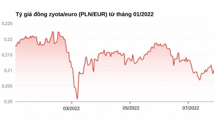 
Đồng zloty đã giảm giá mạnh kể từ tháng 22022. Ảnh Investing
