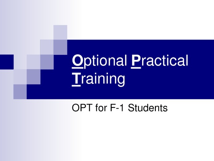 Bạn có biết opt là gì?