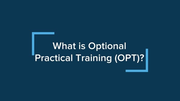 Xin giấy phép OPT