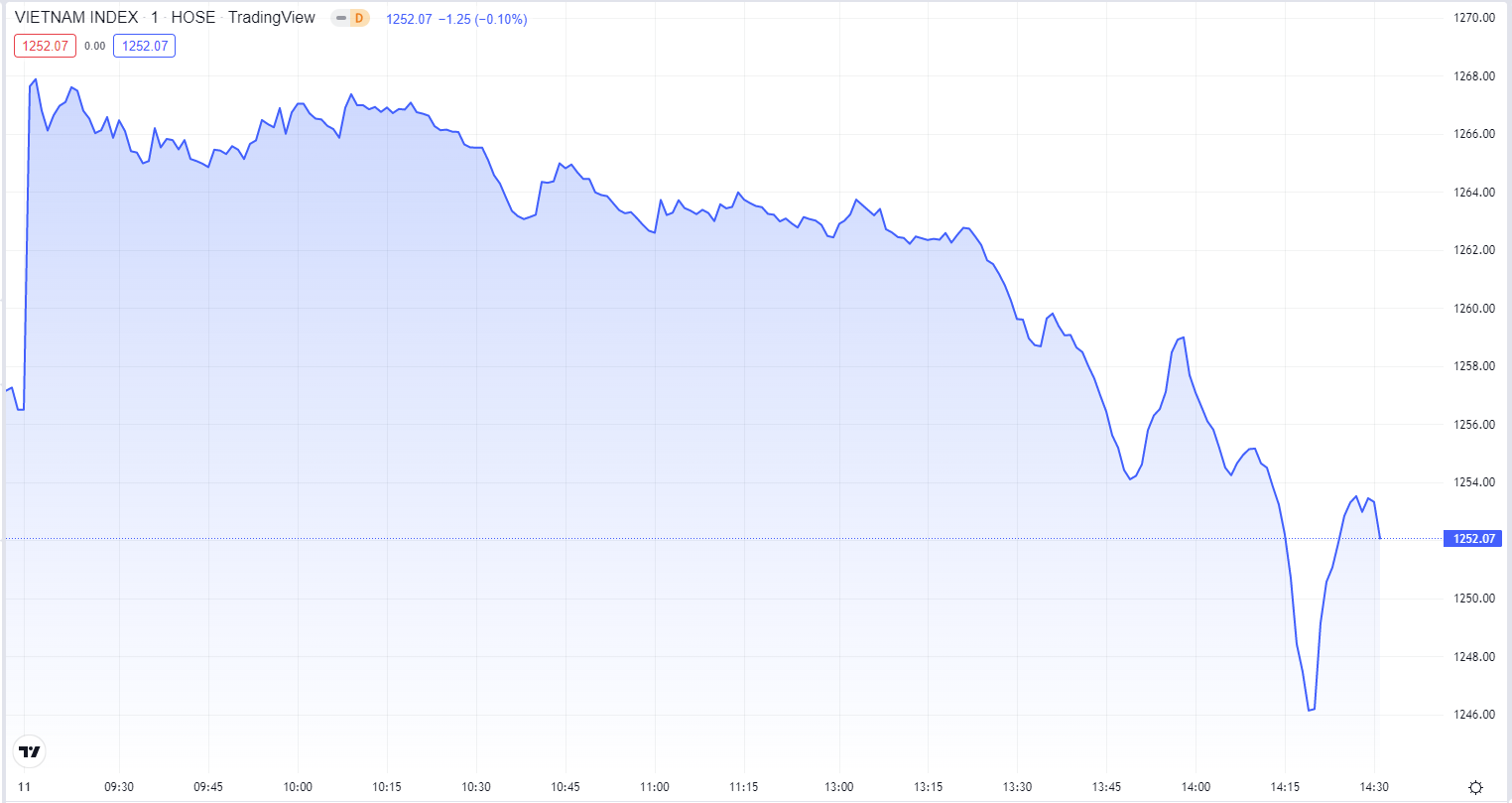 
Diễn biến chỉ số VN-Index phiên hôm nay 11/8. Nguồn TradingView
