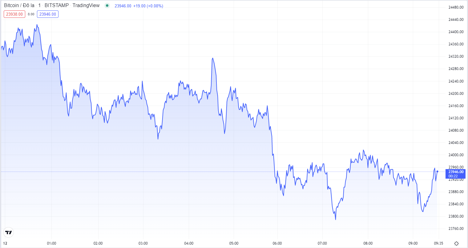 
Diễn biến giá Bitcoin hôm nay 12/8. Nguồn TradingView
