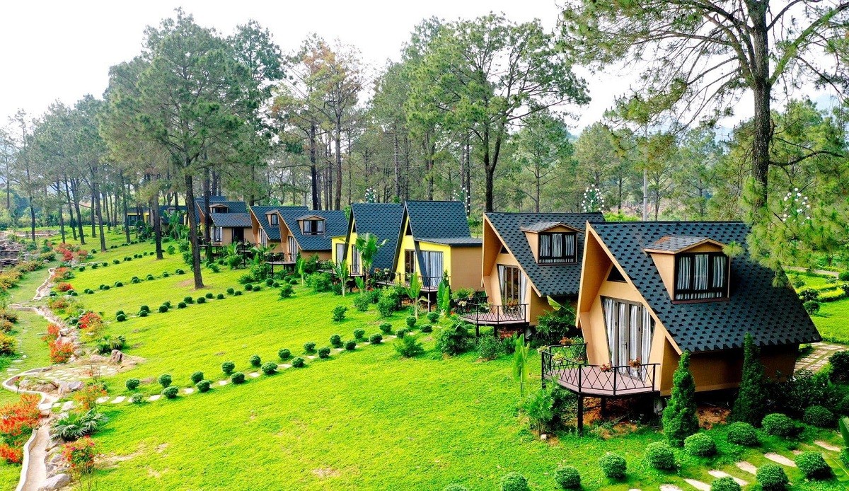 
Kinh doanh homestay đang trở thành mảnh đất màu mỡ cho nhiều chủ đầu tư kinh doanh lưu trú
