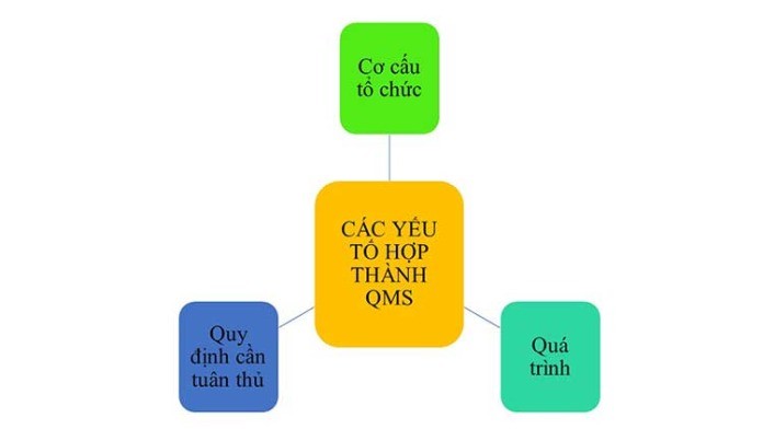 
Các yếu tố tạo thành QMS&nbsp;
