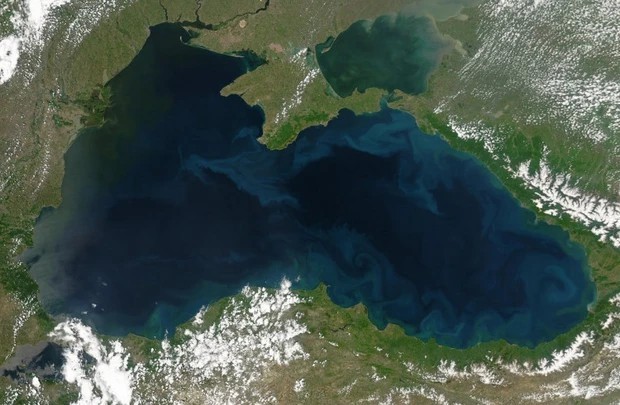 
Các nhà khoa học cho rằng nước biển có màu lam sẫm do có tảo biển sống trên bề mặt nước
