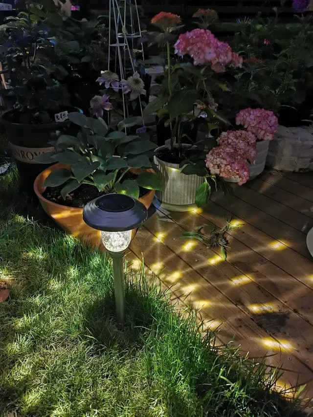 
Ánh đèn giúp cho khu vườn của chị trở nên lung linh vào ban đêm
