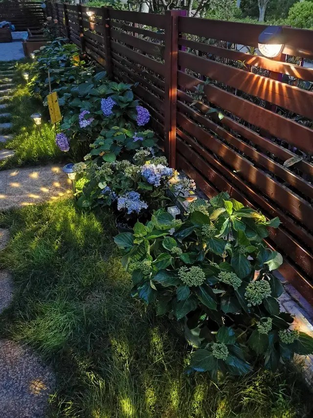 
Đèn năng lượng mặt trời không cần dùng điện, đến tối vẫn sẽ thắp sáng cho khu vườn
