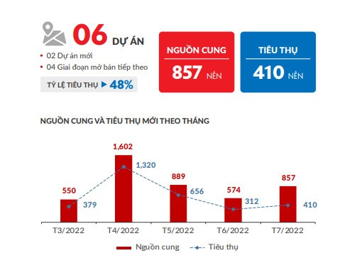 
Nguồn cung và tỷ lệ tiêu thụ đất nền ở TP Hồ Chí Minh và các tỉnh thành lân cận trong các tháng đầu năm 2022. Nguồn: DKRA Vietnam
