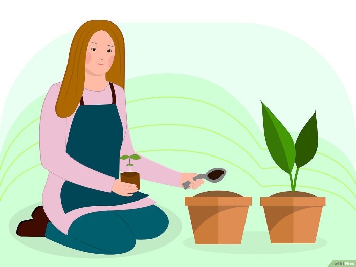 Khám phá tài năng cá nhân của bản thân