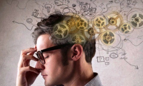 
IQ đóng vai trò như một công cụ dự đoán sự thành công của mỗi cá nhân
