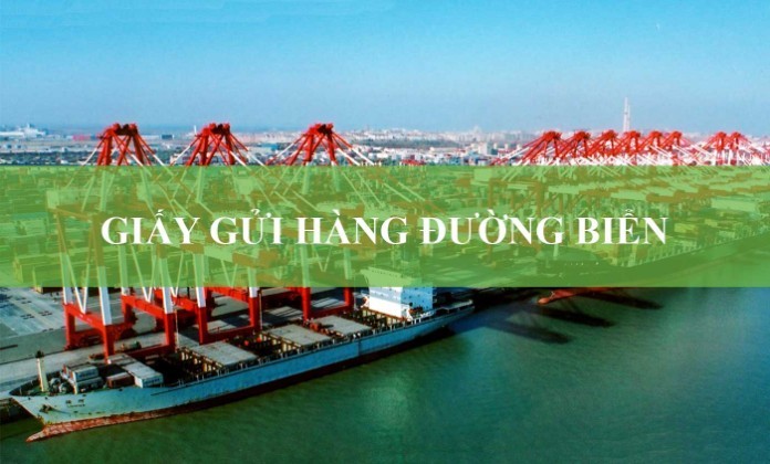 
Giấy gửi hàng đường biển - Swb là gì?
