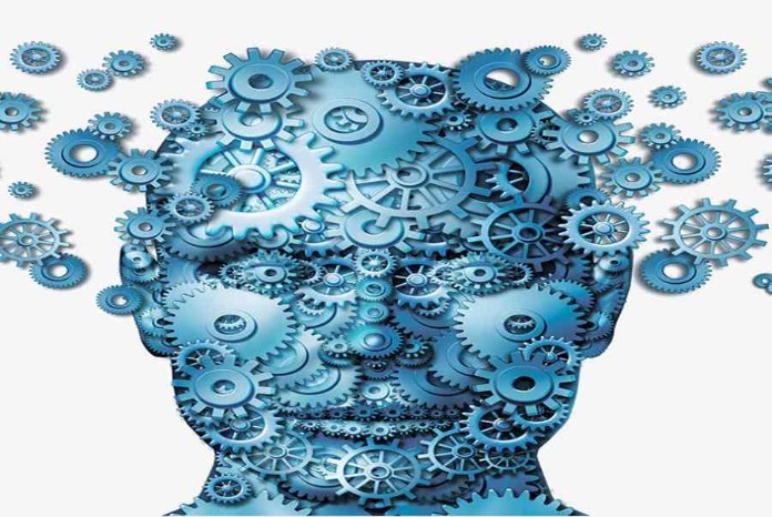 
Bản chất của hiện tượng tâm lý là gì?
