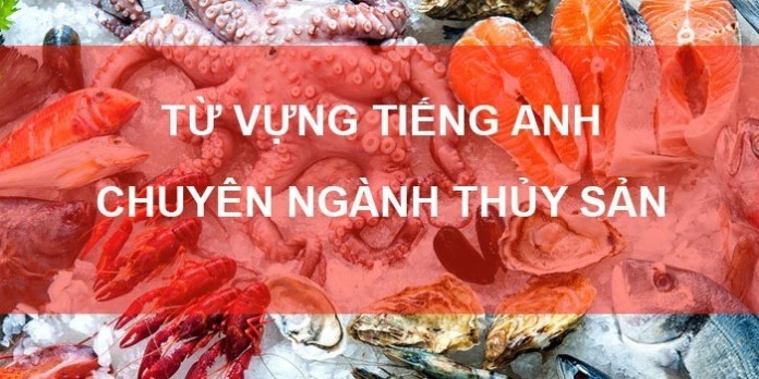 
Có rất nhiều từ vựng tiếng anh liên quan đến ngành này
