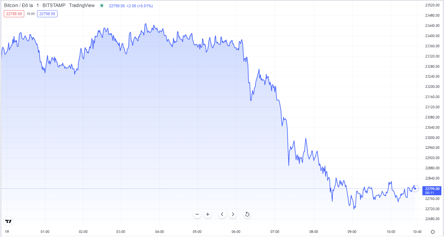 
Diễn biến giá Bitcoin hôm nay 19/8. Nguồn TradingView
