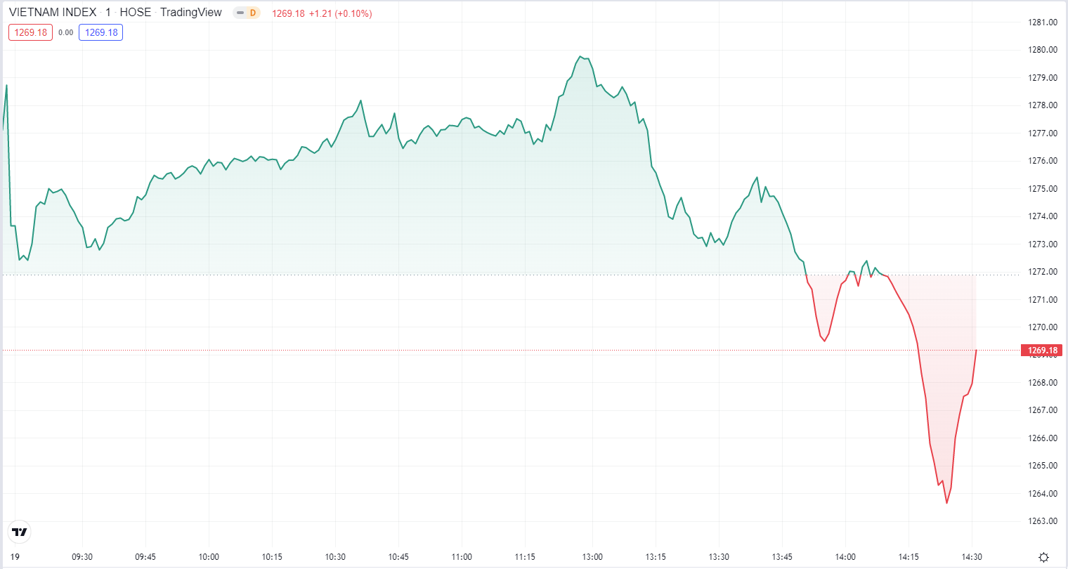 
Diễn biến chỉ số VN-Index phiên hôm nay 19/8. Nguồn TradingView
