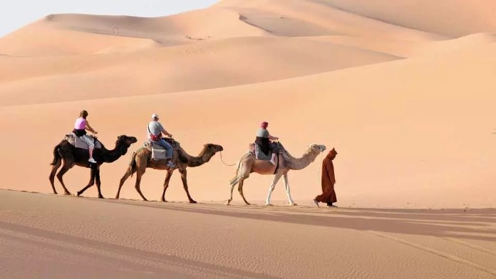 
Thực hiện đi tour du lịch sa mạc cho những người yêu thích sự mạo hiểm
