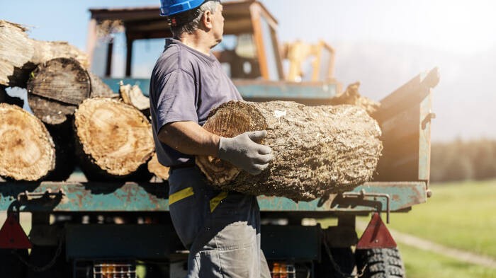 
Nhu cầu về gỗ tại châu Âu tăng lên
