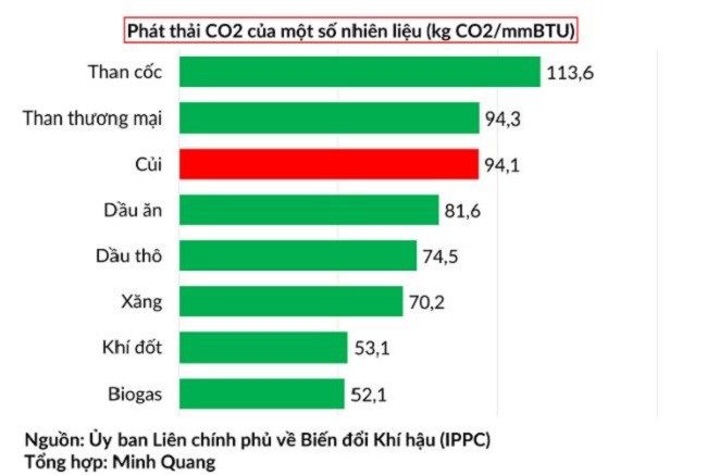 Lo sợ mùa đông không đủ khí đốt, châu Âu bắt tay vào tích trữ củi - ảnh 2