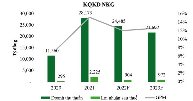 
KQKD của NKG
