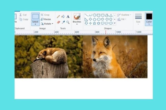 Tổng hợp các cách ghép ảnh vào ảnh trên máy tính cực dễ - ảnh 6