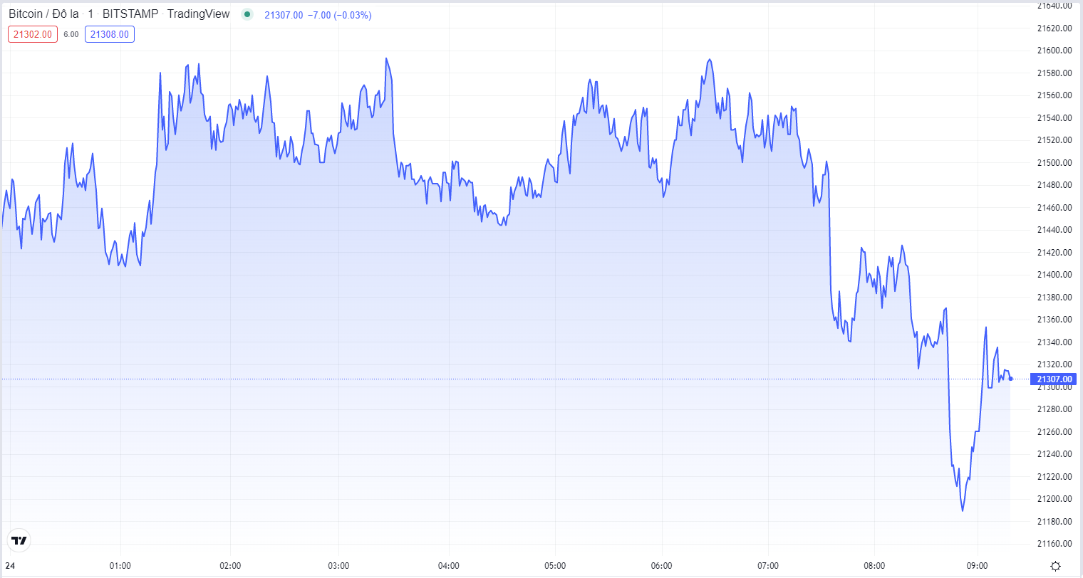 
Giá Bitcoin hôm nay 24/8. Nguồn TradingView
