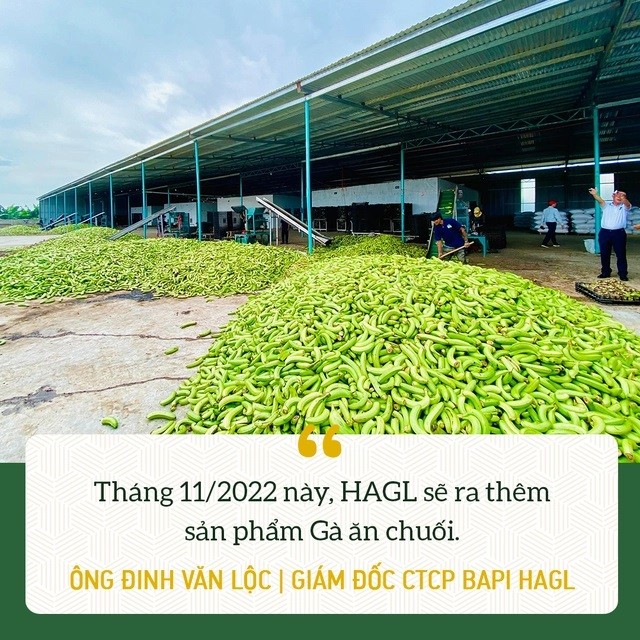 
Nguồn ảnh: Trí thức trẻ
