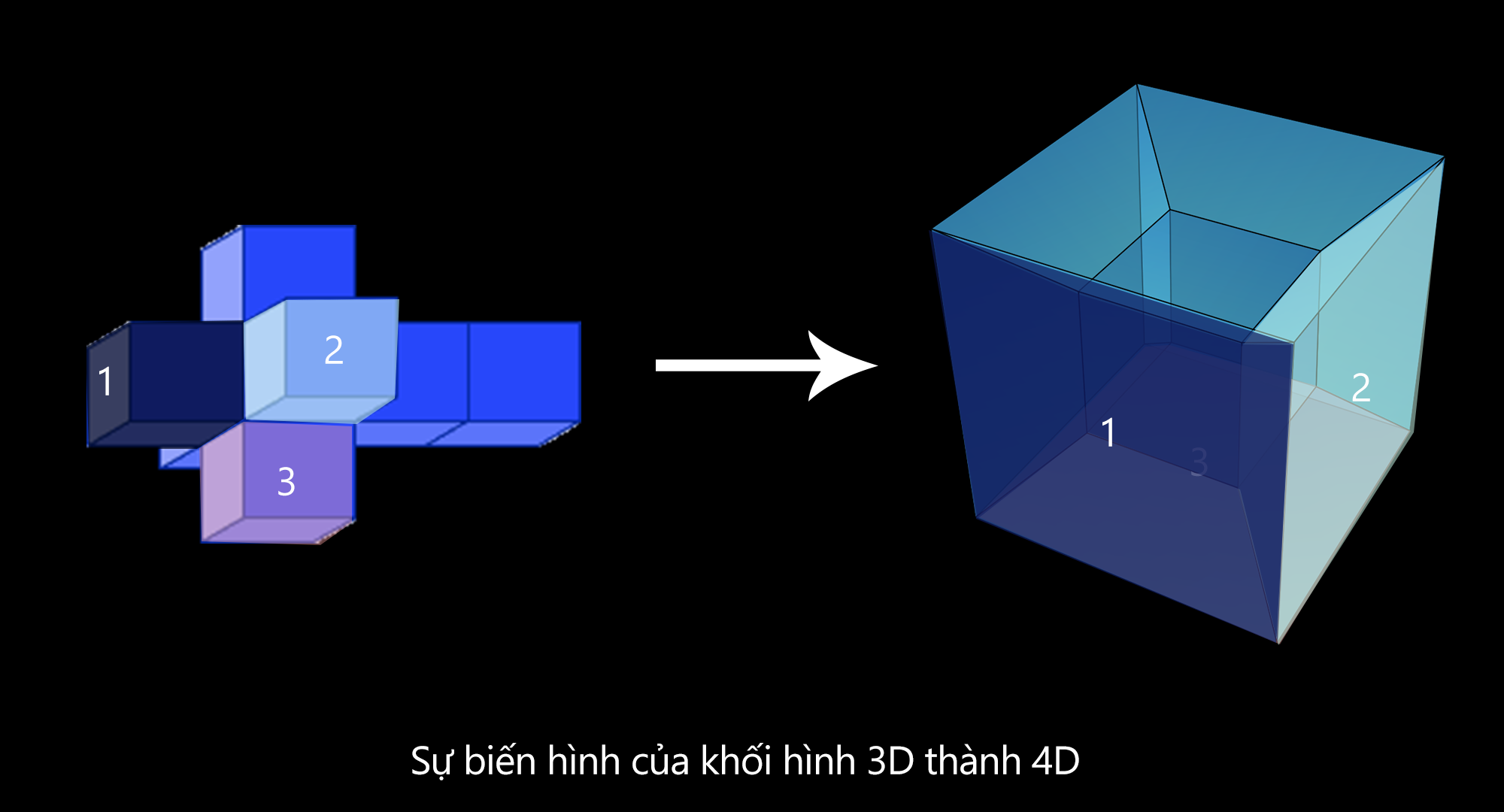 
Lập luận về không gian 4 chiều
