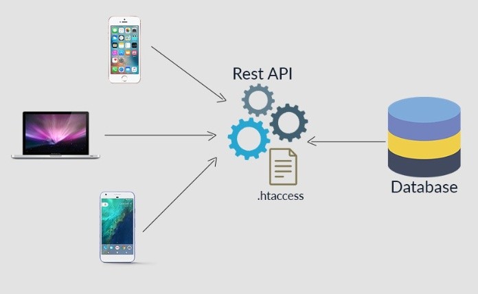 
Đặc điểm của Web service là gì?
