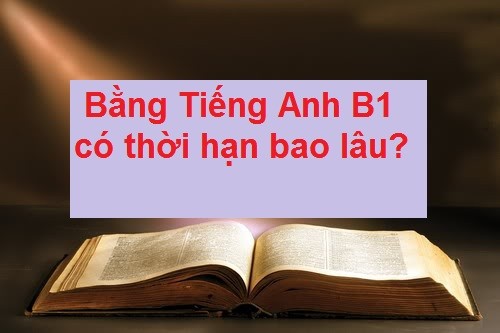 
Chứng chỉ B1 tiếng Anh tương đương với 255 - 450 điểm bài thi TOEIC.
