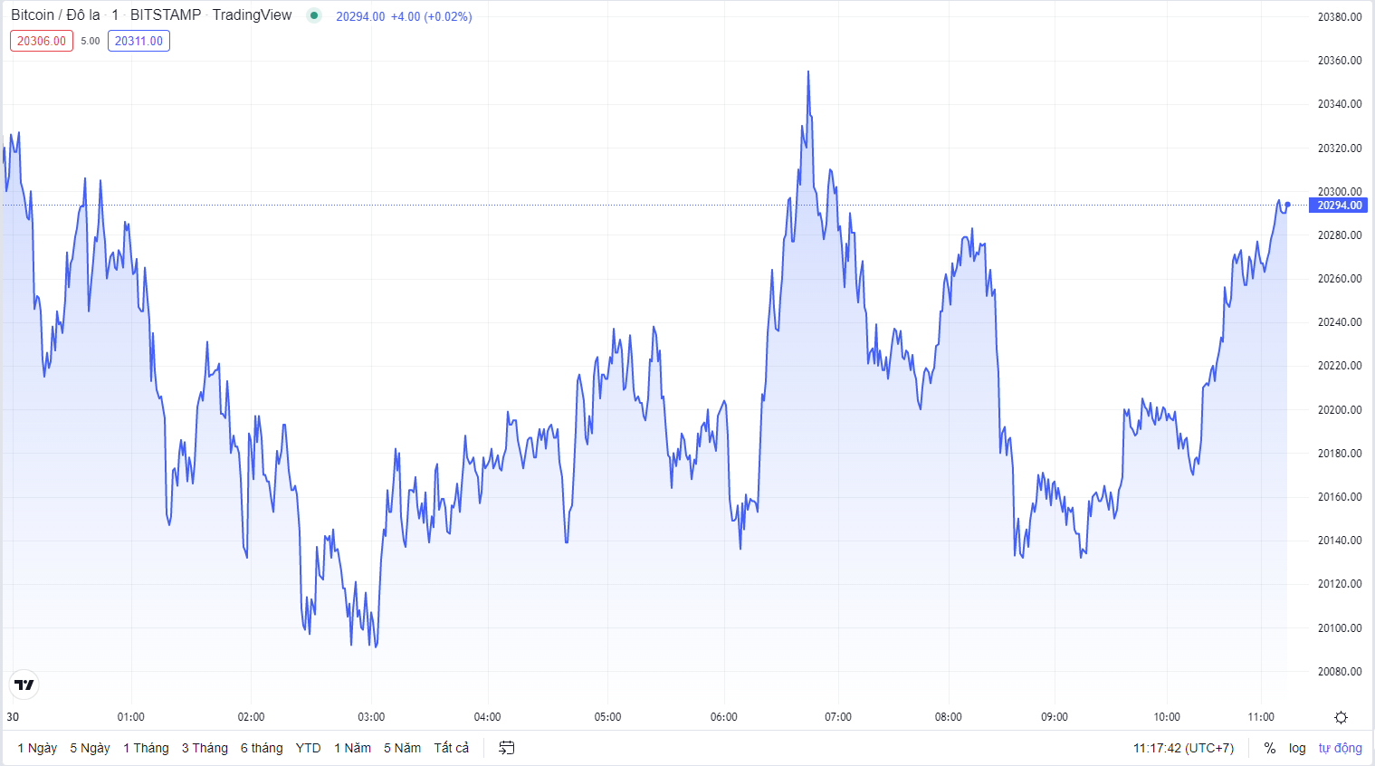 
Diễn biến giá Bitcoin hôm nay 30/8. Nguồn TradingView
