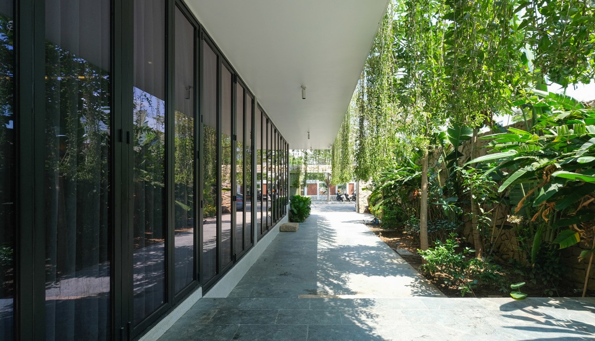 
Hàng cúc tần Ấn Độ cùng những cây xanh trồng quanh nhà có tác dụng làm đẹp cho căn nhà và che chắn không gian sống khỏi ánh nắng mặt trời
