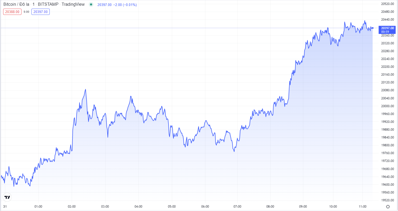 
Diễn biến giá Bitcoin hôm nay 31/8. Nguồn TradingView
