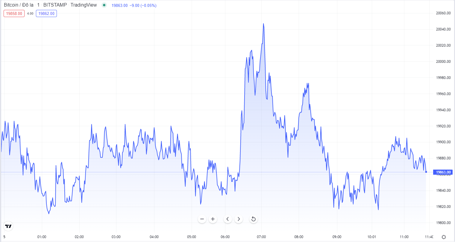 
Diễn biến giá Bitcoin hôm nay 5/9. Nguồn TradingView
