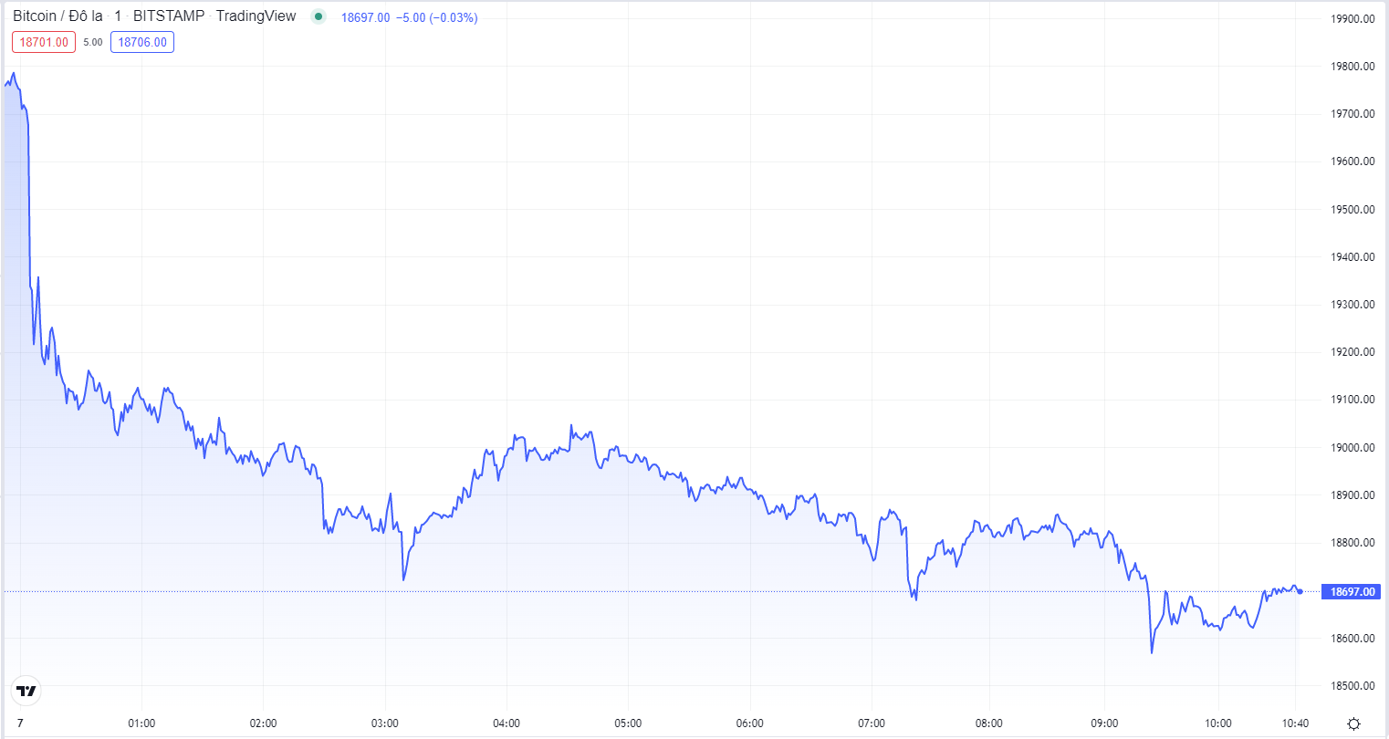 
Diễn biến gái Bitcoin hôm nay 7/9. Nguồn TradingView
