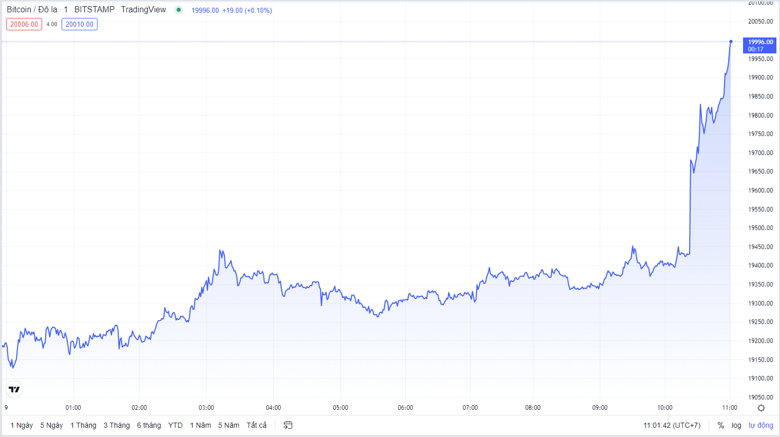 Giá Bitcoin hôm nay cập nhật lúc 11h01' ngày 9/9. Nguồn TradingView