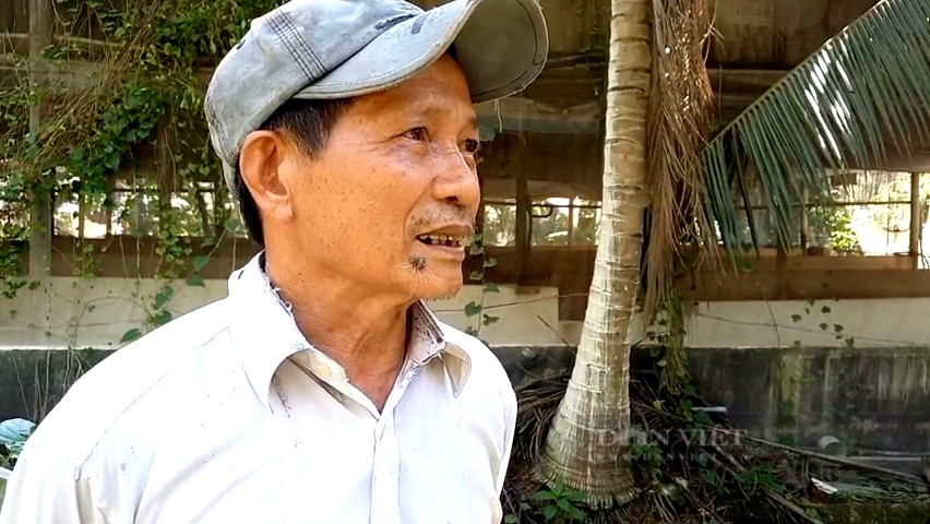 Ông Truyền bộc bạch: "Gian nan lắm mới có cơ nghiệp như hôm nay". Cũng theo đó, lão nông này cho biết có thời điểm tổ hợp nuôi heo của ông có đến 3 trang trại với hơn 1.000 con. Cứ mỗi người con trai lập gia đình thì ông sẽ cho 1 trại heo và 50 con heo nái để lập nghiệp. Nguồn: Dân Việt