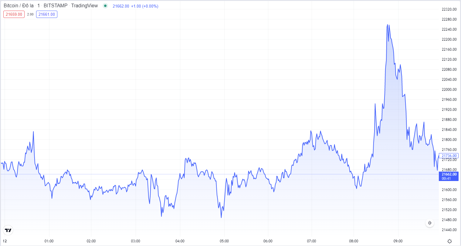 
Diễn biến giá Bitcoin hôm nay 12/9. Nguồn TradingView
