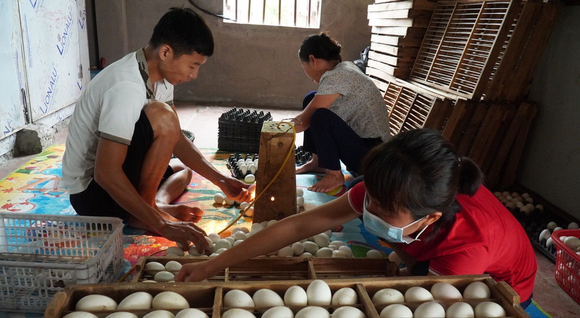 
Ông Nguyễn Văn Mùi đã nhiều lần nhấn mạnh đến khát vọng cháy bỏng chính là làm chủ chuỗi sản xuất và cung ứng sản phẩm trứng vịt đến tận tay người tiêu dùng
