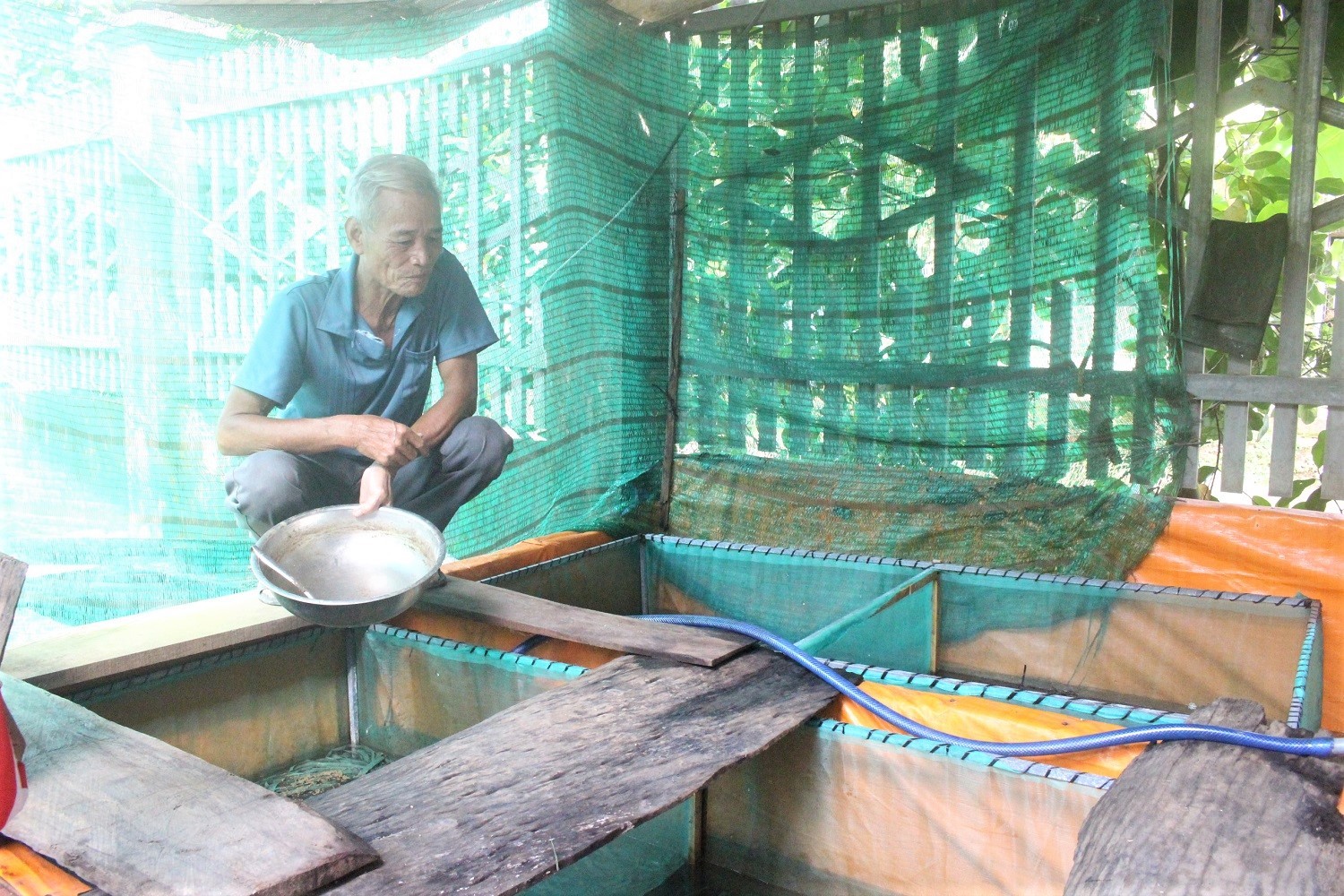 
Chỉ với diện tích 32m2 nhưng bằng cách nuôi lươn không bùn trong bể xi măng khoa học và sau thời gian gia đình ông Nguyễn Kim Sao trú tại xã Long Tân, huyện Phú Riềng, tỉnh Bình Phước đã thu lãi hàng trăm triệu đồng từ bán lươn thịt thương phẩm
