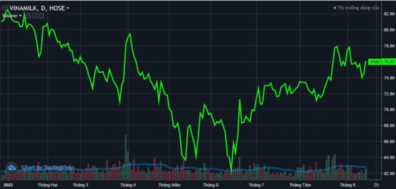 
Ghi nhận mức tăng 2%, đóng cửa cao nhất phiên 16/9 ở mức 76.000 đồng/cổ phiếu, VNM là cái tên đóng góp lớn thứ hai vào VN-Index
