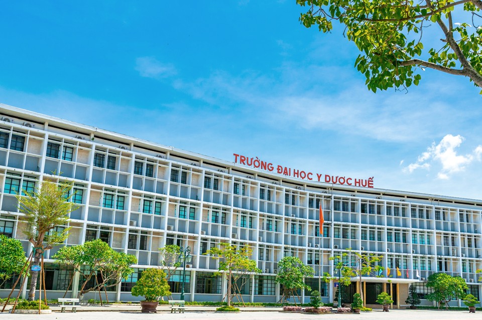 
Trường Đại học Y Dược – Đại học Huế là một trong&nbsp;những trường nằm trong top đầu về ngành Dược. Ảnh minh họa
