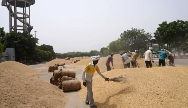 
Ấn Độ hiện đang cấm xuất khẩu đối với gạo tấm - loại gạo chất lượng thấp, nguyên nhân chính là bởi Ấn Độ đang lo ngại về nguồn cung bị suy giảm cùng với lạm phát gia tăng. Ảnh minh họa

