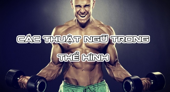 Rep trong gym là số lần bạn lặp lại một động tác tập thể hình nào đó