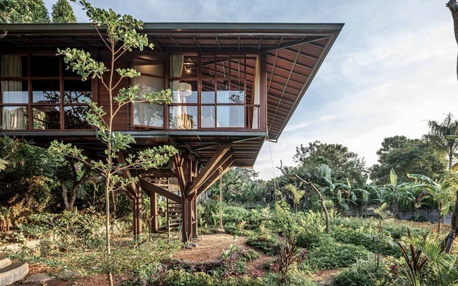 
Căn nhà nằm giữa vườn cây nhiệt đới tươi tốt quanh năm
