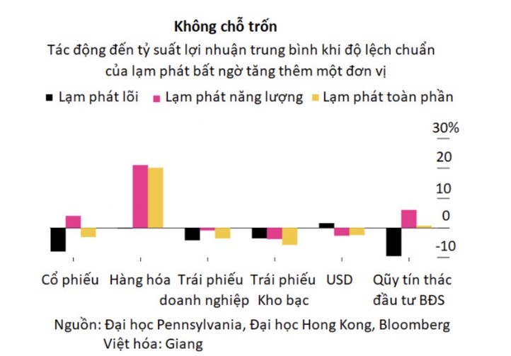 Thị trường biến động mạnh vì lạm phát, nhà đầu tư cũng không còn nơi trú ẩn sinh lời - ảnh 2