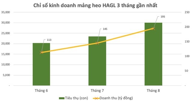 

Chỉ số kinh doanh mảng heo HAGL 3 tháng gần nhất
