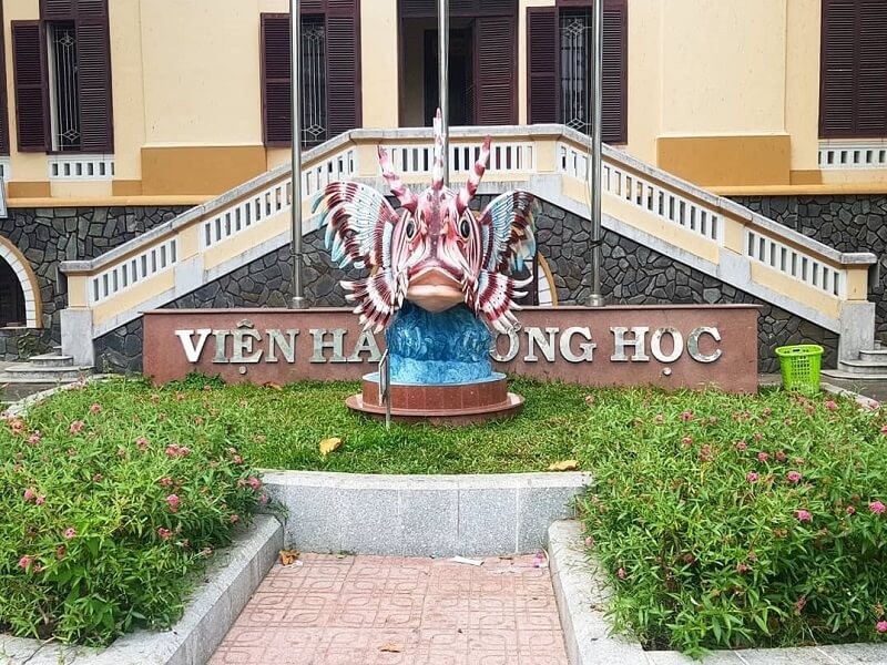 Ngành hải dương học có mức lương rất cao. Ảnh minh họa