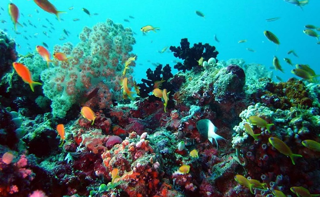 Hệ thống biển - đại dương và bầu khí quyển giống có mối quan hệ chặt chẽ với nhau. Ảnh minh họa