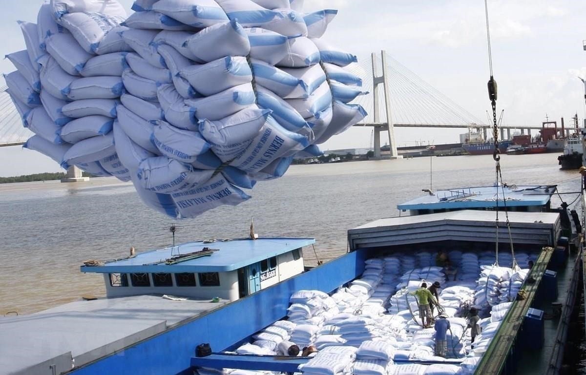 
Việt Nam là nước xuất khẩu gạo lớn thứ ba trên thế giới, chỉ sau Ấn Độ và Thái Lan với 7,8% giao dịch thương mại toàn cầu; Việt Nam cũng là nước xuất khẩu gạo lớn nhất sang Trung Quốc khi chiếm đến 24,5% thị phần. Ảnh minh họa
