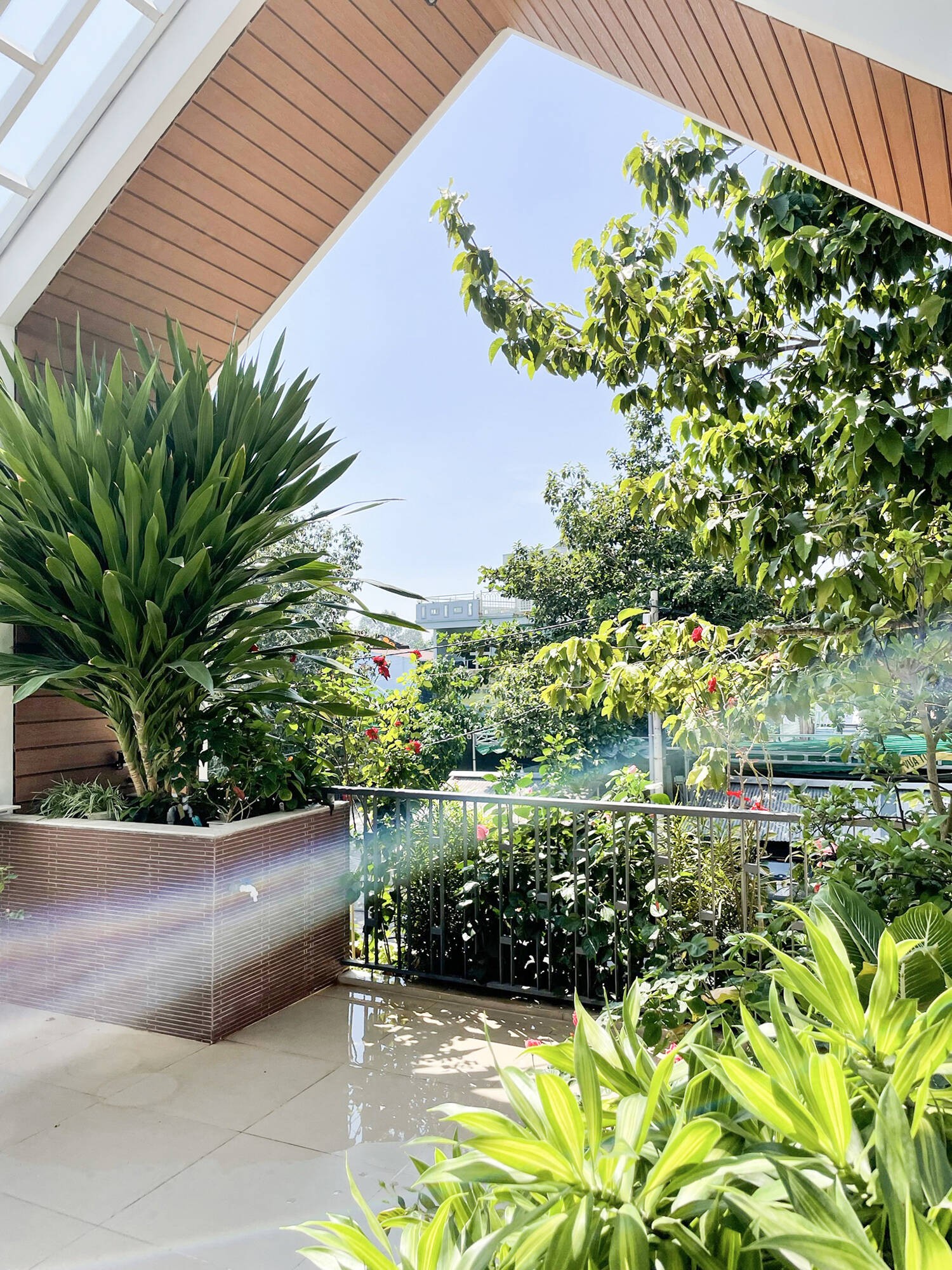 Cây trong vườn xanh tốt, giúp căn nhà có được không khí thoải mái, dễ chịu