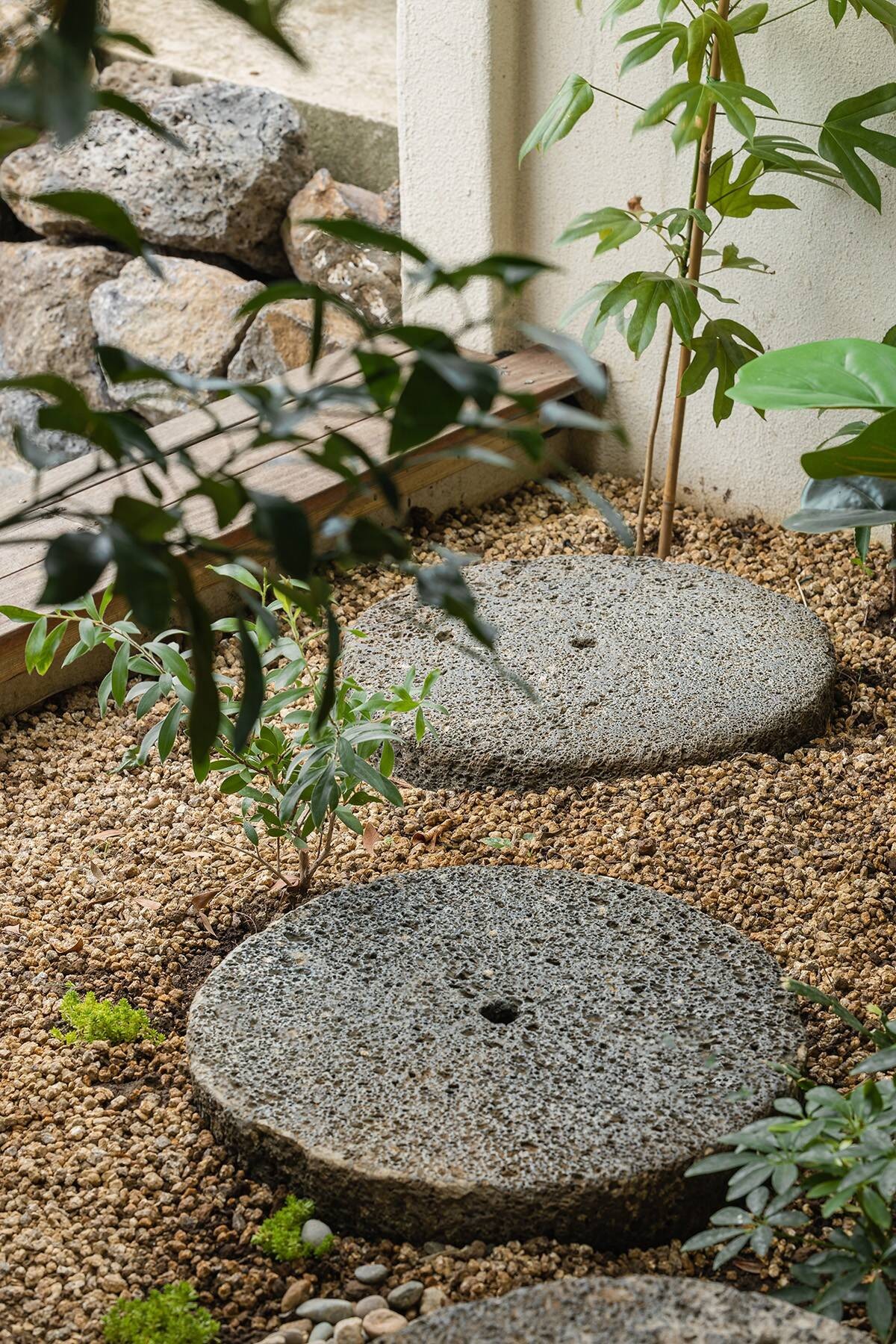 
Lối đi vào ấn tượng với những viên đá tròn, ở khu vườn trải sỏi đá
